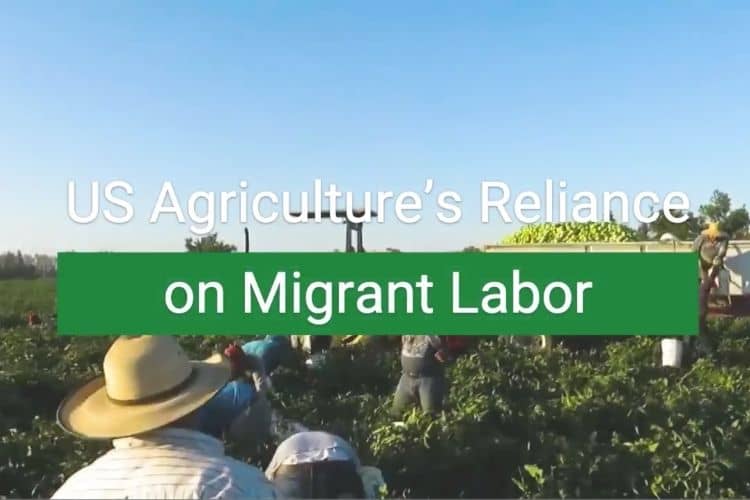 US Agriculture’s Reliance on Migrant Labor