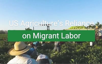 US Agriculture’s Reliance on Migrant Labor